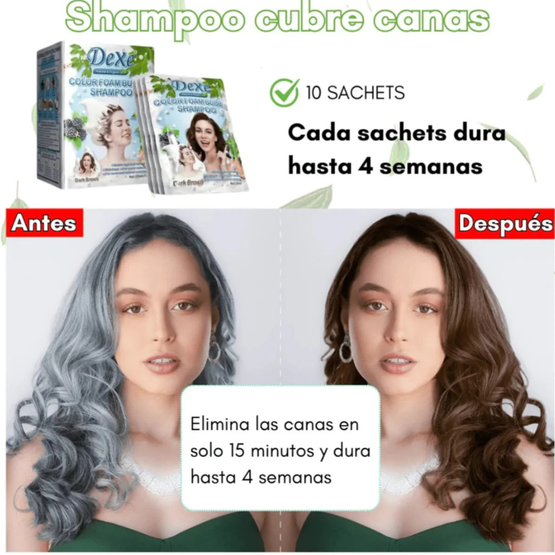 SHAMPOO DEXE CUBRE CANAS COLORES (PACK POR 10 SACHET)